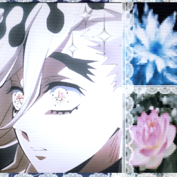 ༶•༶•┈┈┈⊱⋆