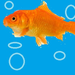 Fish praisers