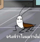 ทีมงานroblox studio