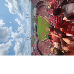 Baseball the Reds