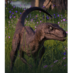 Dino Daniel