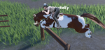MARITS RIDING SCHOOL