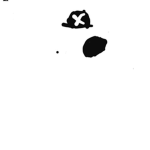 Ghosty pirate Club