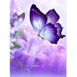 Growingbutterflys