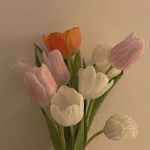 Tulips & twigs