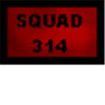 Squad 314 of dbfa