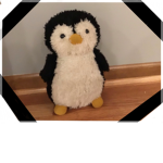 PENGUINS ARE AMAZING……