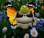 Shrek love.