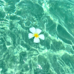 ᴍᴇʟᴏᴅʏ :)