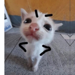 finkflops