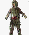 Death of the zombies