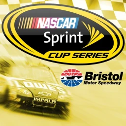 Bristol 2010 icon