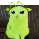 noodlehead group