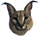 Ultimate floppas