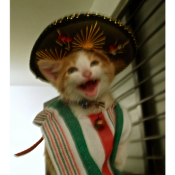 Colo