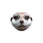 Realistic Meerkat