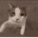 IlIl