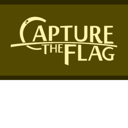 Roblox Capture The Flag