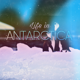 Life In Antarctica