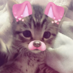 Asalah__1234