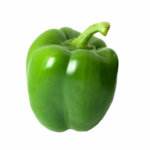 Green Master Studios