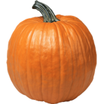 Pumpkin Ltd.