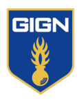 GIGN | french Police tactical unit.