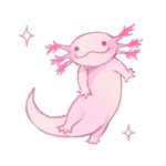 Axolotl Studio!