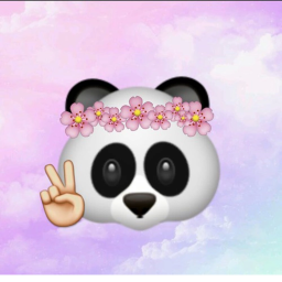 Pandicorn Hangout