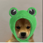 DABOYSop