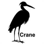 Crane ®