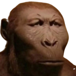 MONKE doretos groop