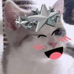 tnypaw