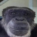 tyBigfoot