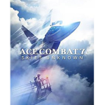 Ace Combat Fighter Jet Fan Group