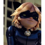 Cat noir ####