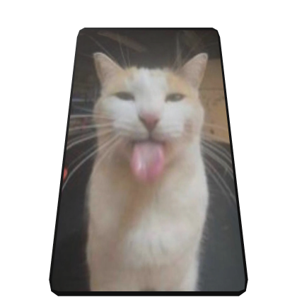 Licking Cat Cape Roblox item