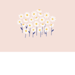 \\ Anne’s clothes //
