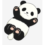 Team panda so cute panda