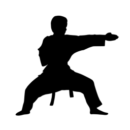 Veka's Dojo