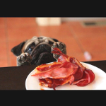 Bacon Intelligence Agency (BIA)