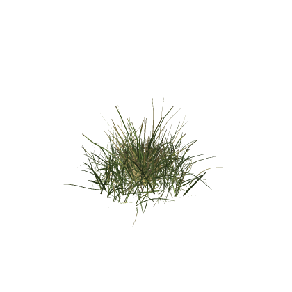 realistic grass