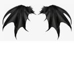 wings people