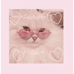 !•Aesthetic Vibes•!