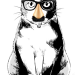 bungo cat pets