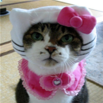 hello-kitty-cat Roblox decal