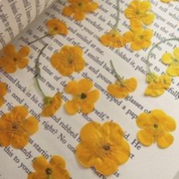 📔