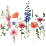 THE FLOWER FAMILY!!