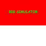 BIG SIMULATOR GRUOP
