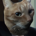 L.T.I.S